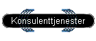 Konsulenttjenester